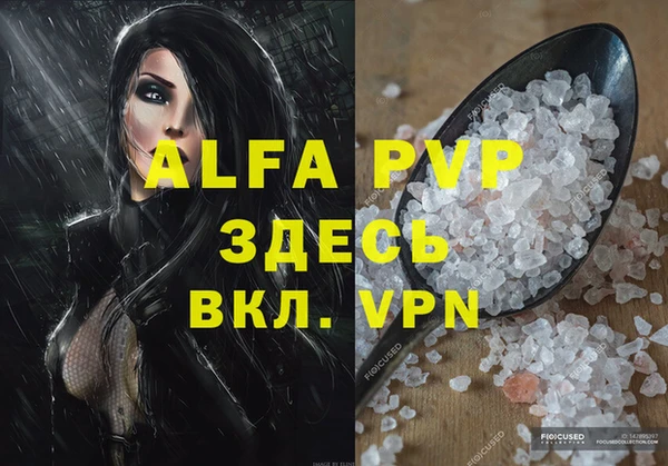 крисы Алексин