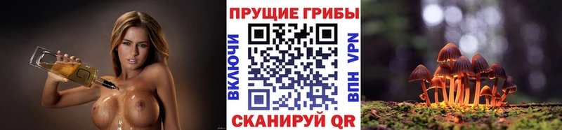 mega сайт  Елизово  маркетплейс какой сайт  Псилоцибиновые грибы мицелий 