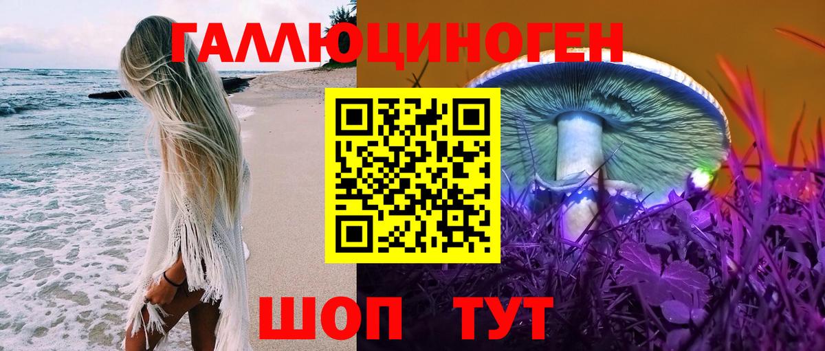 Елизово  Псилоцибиновые грибы прущие грибы  Псилоцибиновые грибы прущие грибы  Вход с VPN 